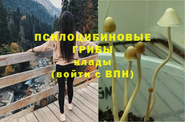 тгк Аркадак