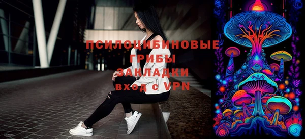 тгк Аркадак